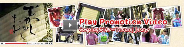 Play Promotion Video