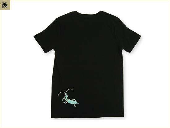 ���������֤फ���फ���ץ�ǥ�������T�����Ⱦµ