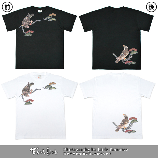 �������ȾµT�����,����