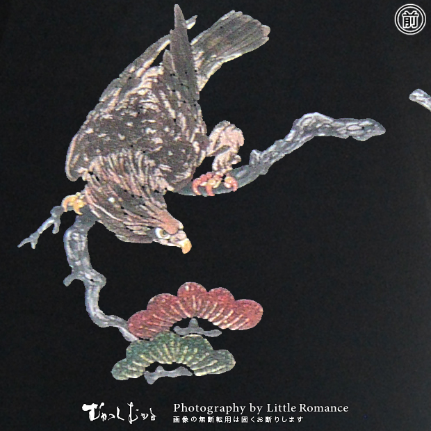 �������ȾµT�����,����