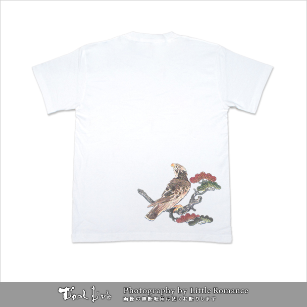 【訳あり美品】伝統的な和服セット 鷹と松の柄 七五三 着物 男の子 五歳 13点フルセット 羽織袴セット 刺繍入り