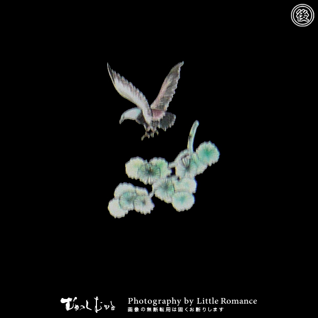 ���å�����Ĺµ�ԥ����,����