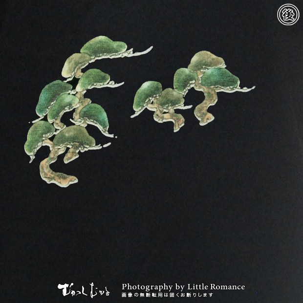 ������󥺥ȥ졼�ʡ����ݸ׳���