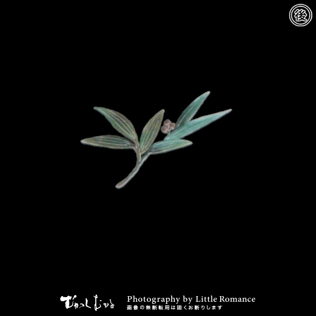 ���å�����Ĺµ�ԥ����,֢����