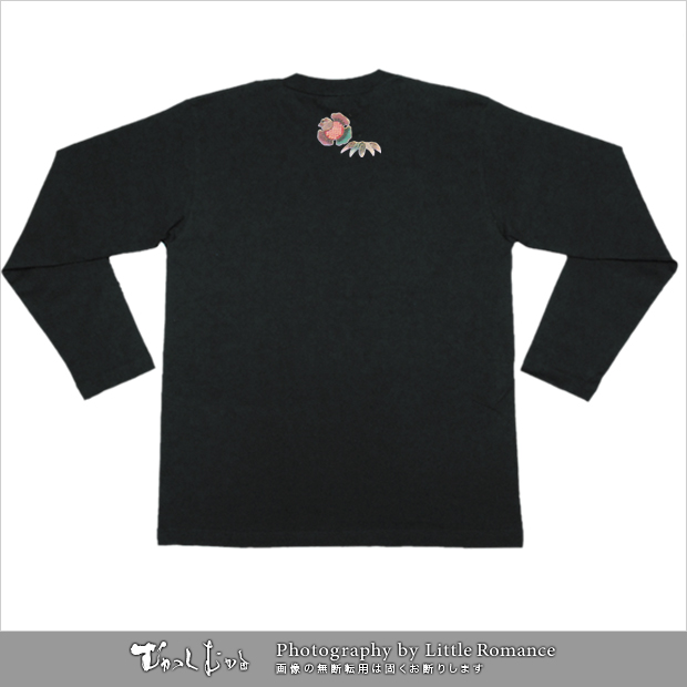 ������ǥ���Ĺµ�ԥ���ġ��̹�ή��