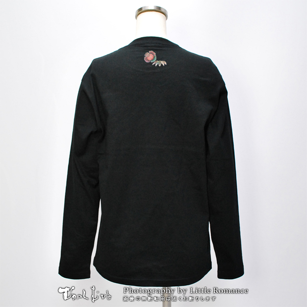 ������ǥ���Ĺµ�ԥ���ġ��̹�ή��