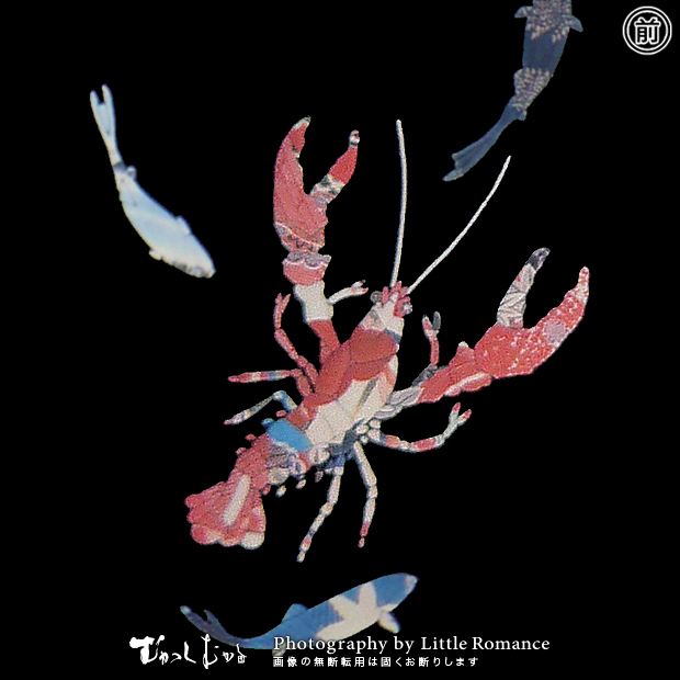 ���å�����Ĺµ�ԥ����,���ꥬ��