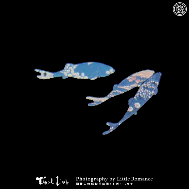 ���å�����Ĺµ�ԥ����,���ꥬ��