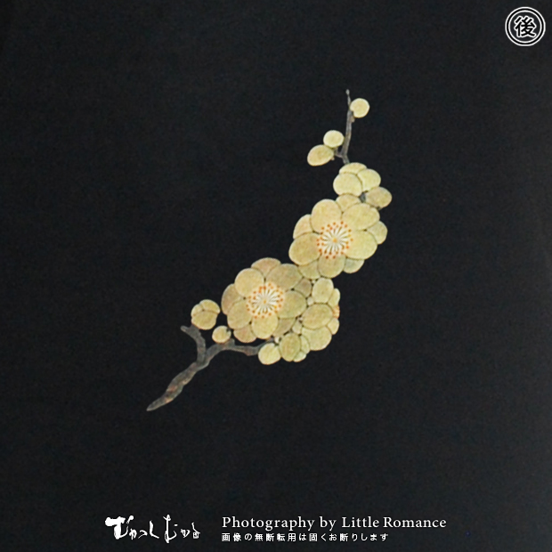 ������󥺥ȥ졼�ʡ������ߡ�