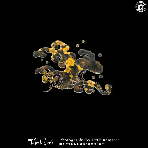 ���å�����Ĺµ�ԥ����,��Ȼ�ʿ