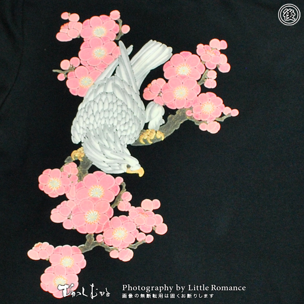 ������󥺥ȥ졼�ʡ��������ߡ�