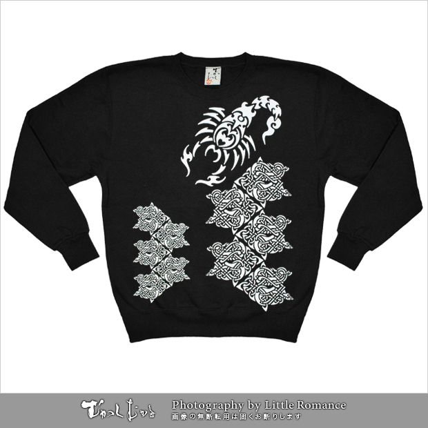 ������󥺥ȥ졼�ʡ����फ���2012_5��